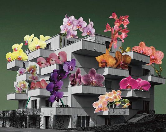 Balcones y Flores - Descargable (Print at Home) - By Ifigenia
