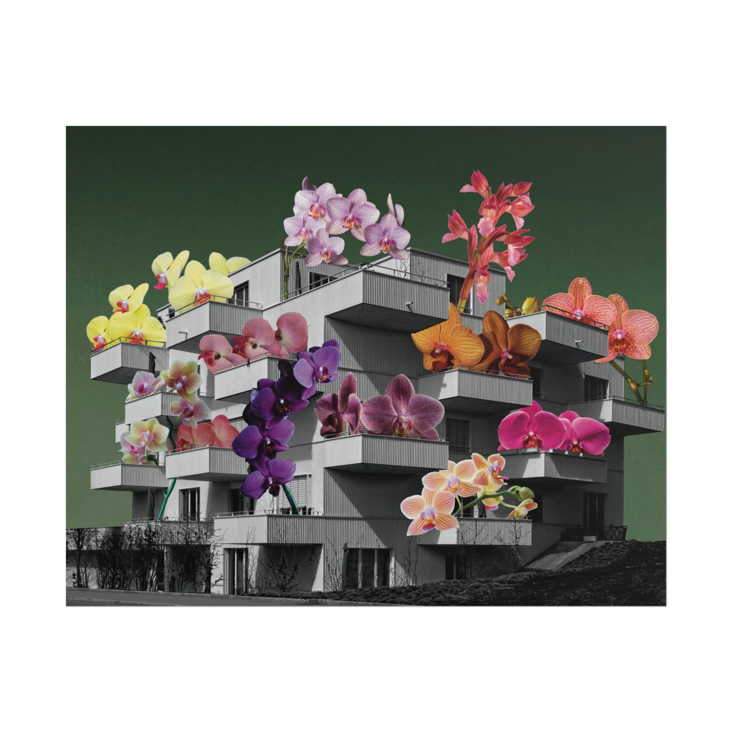Balcones y Flores - Poster -  Ifigenia