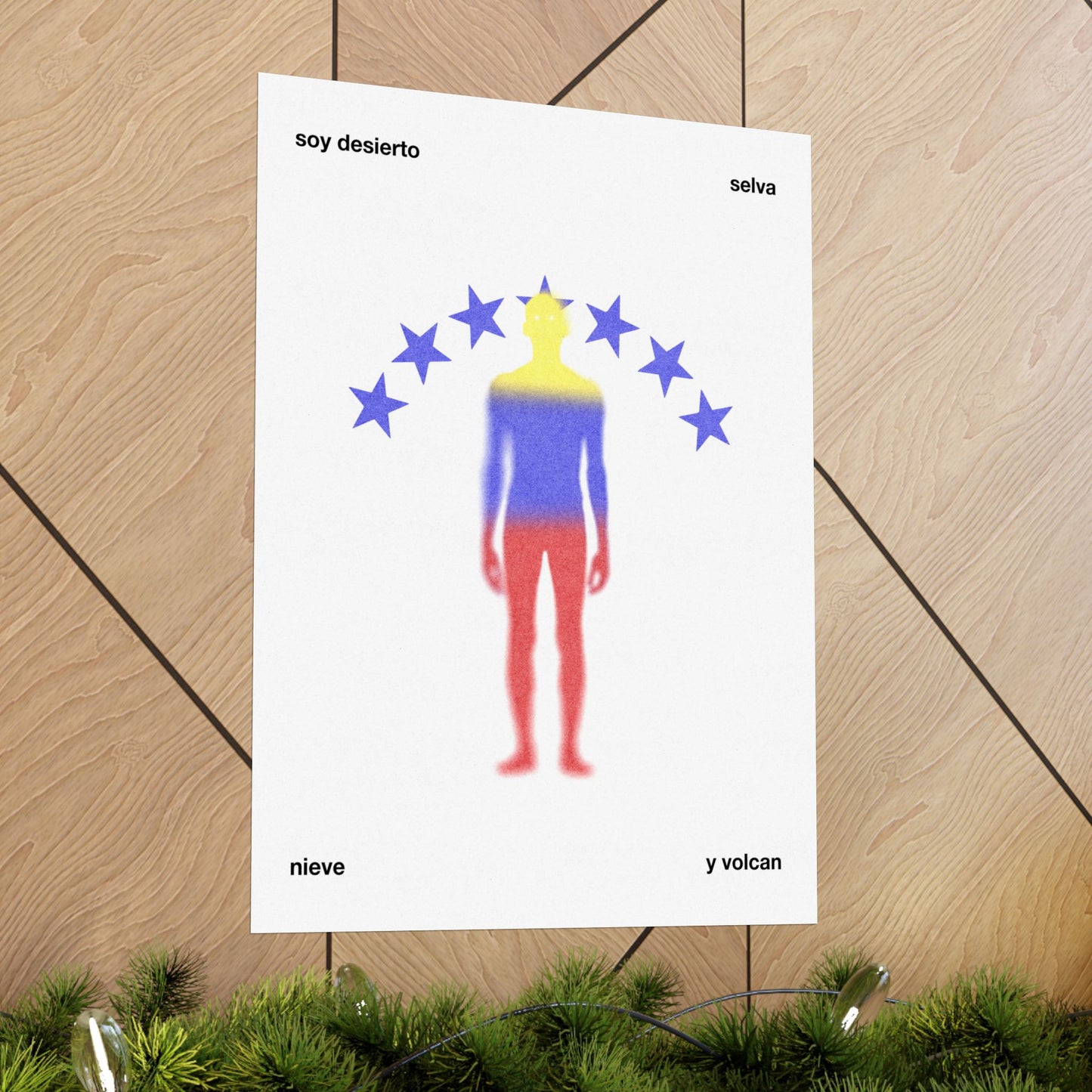 Desierto, Selva, Nieve y Volcan - Poster - Renzo Novelli