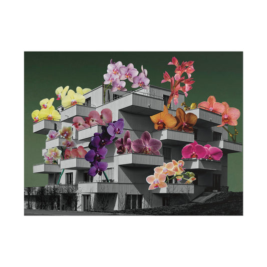 Balcones y Flores - Poster -  Ifigenia