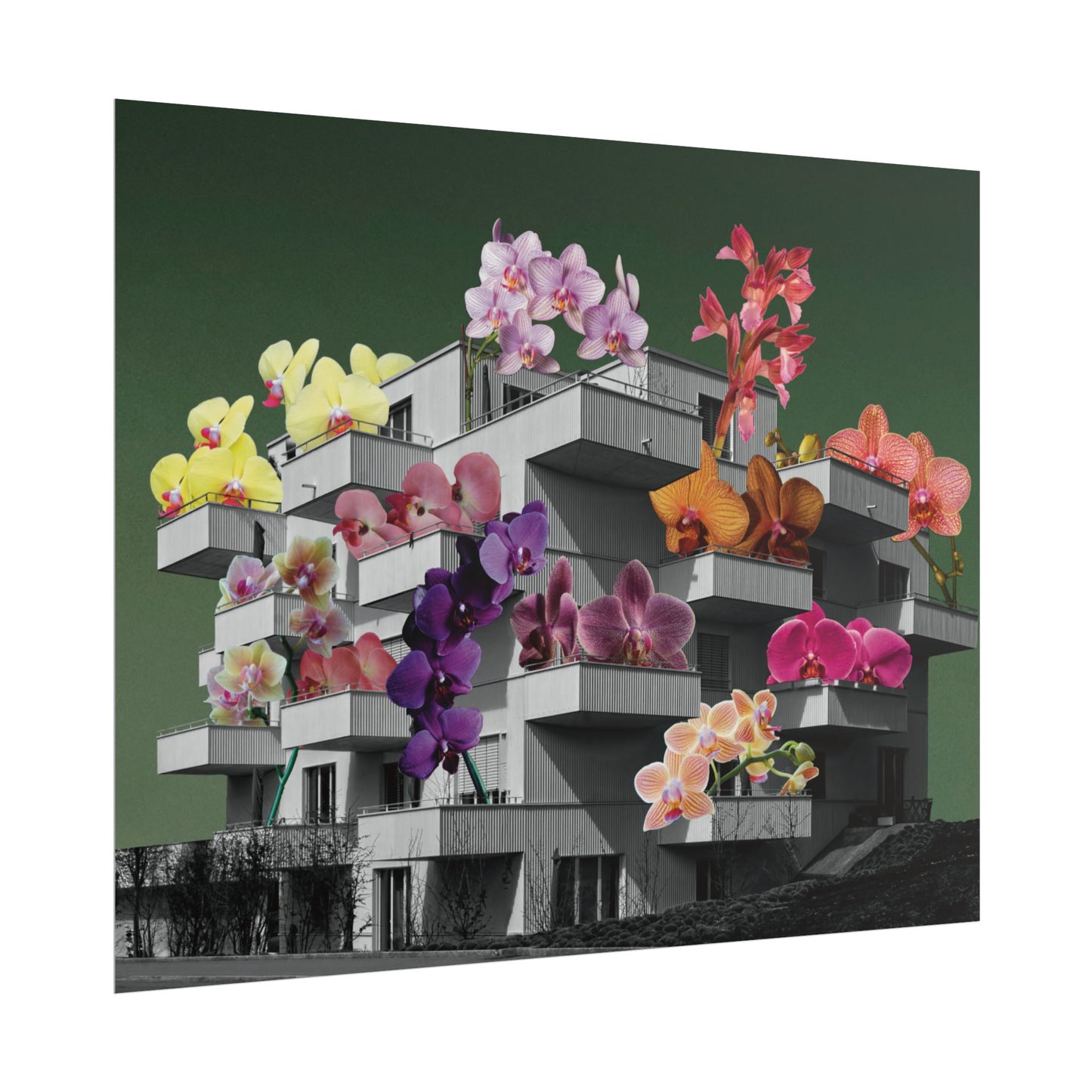 Balcones y Flores - Poster -  Ifigenia