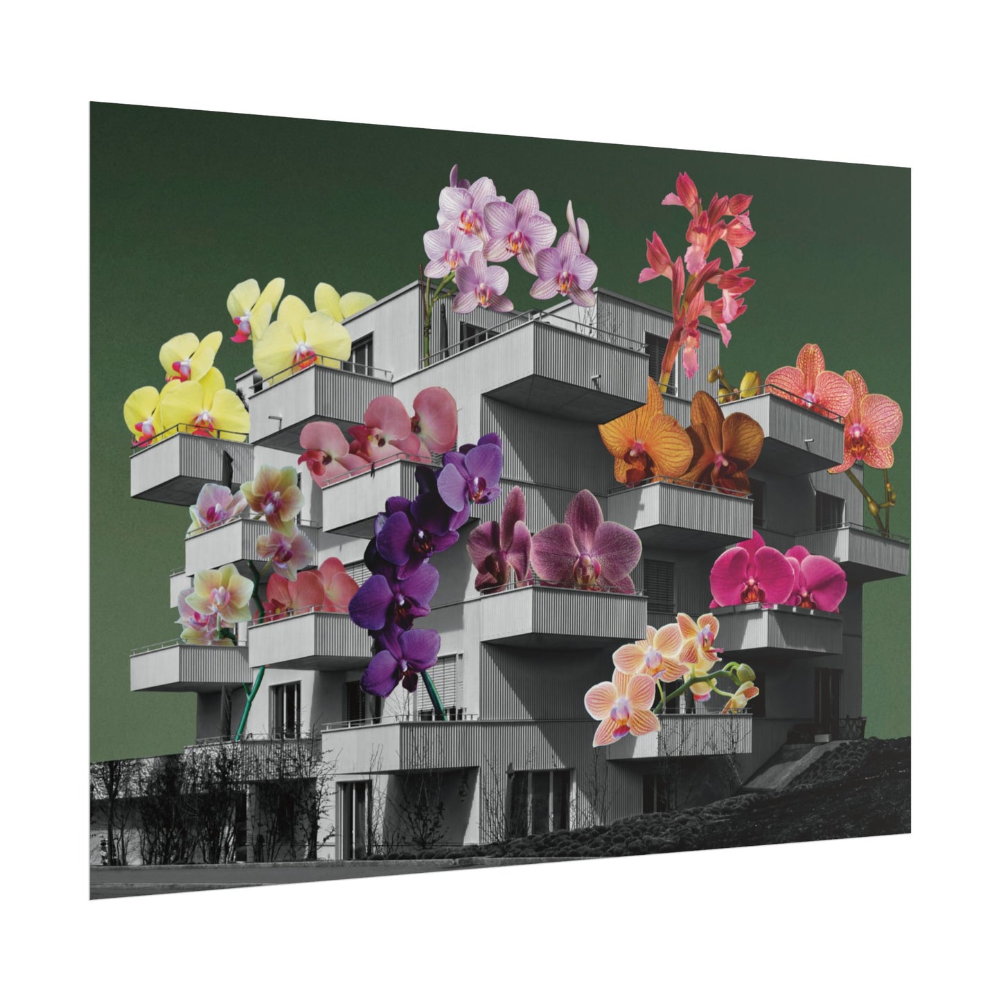 Balcones y Flores - Poster -  Ifigenia