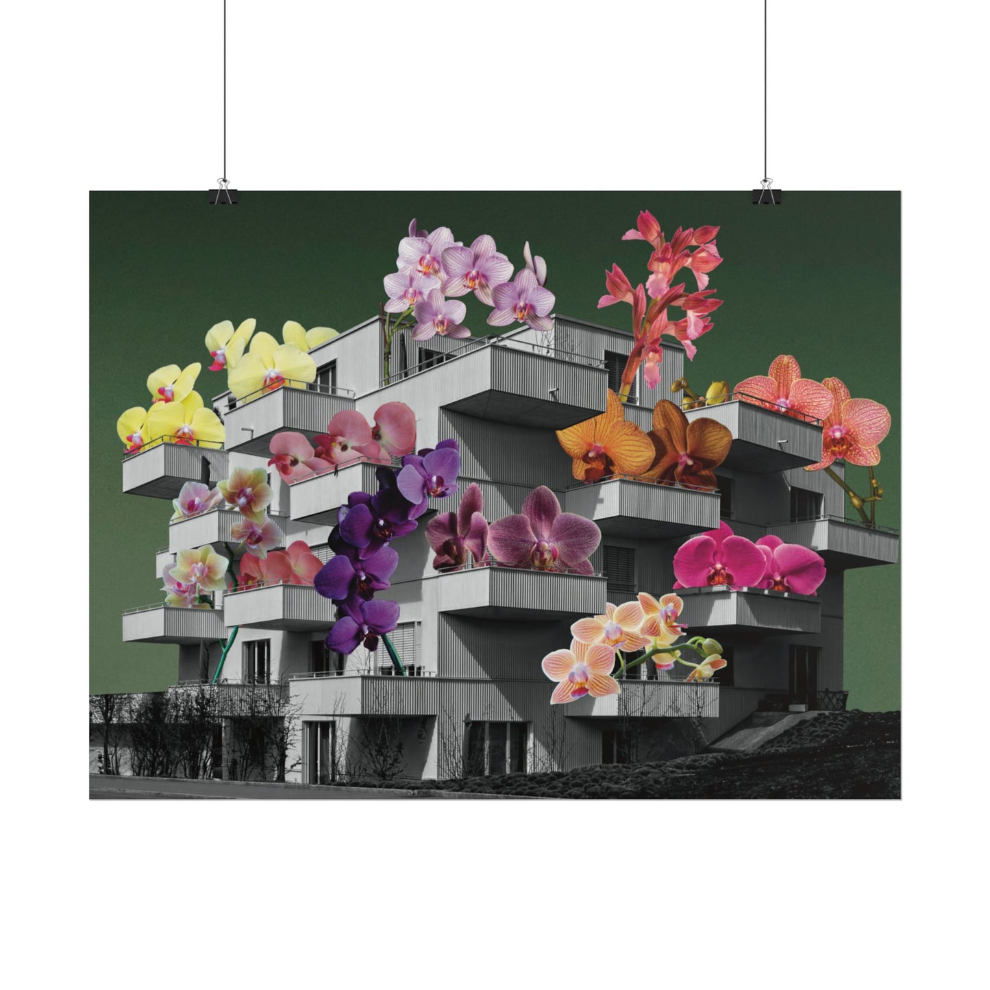 Balcones y Flores - Poster -  Ifigenia
