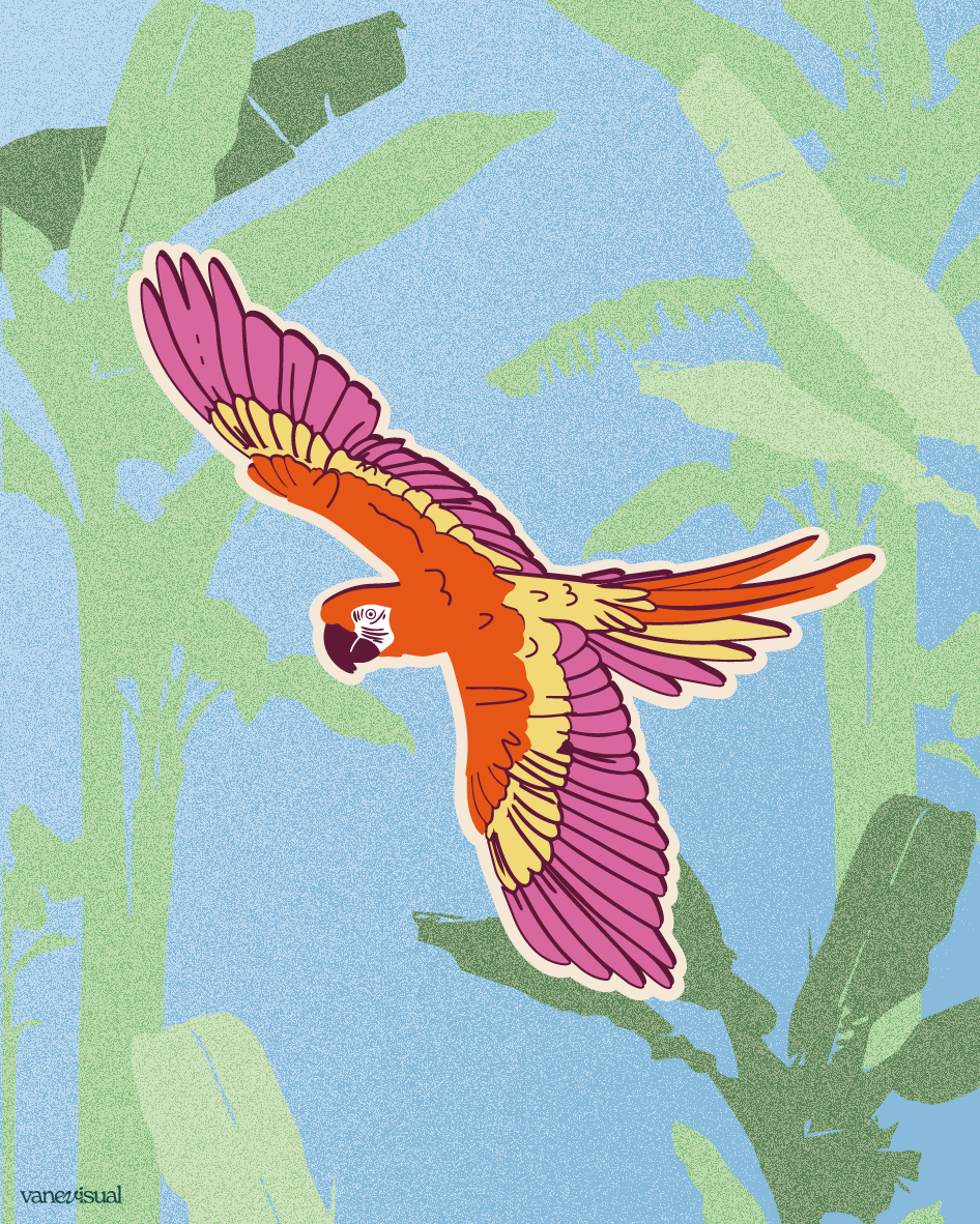 Volare - Descargable (Print at Home) - Vanessa Alfonzo